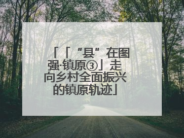 「“县”在图强·镇原③」走向乡村全面振兴的镇原轨迹