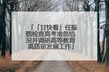 「甘快看」任振鹤检查高考准备情况并调研高等教育高质量发展工作