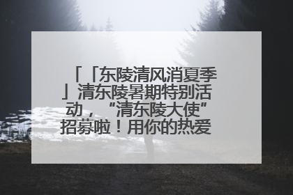 「东陵清风消夏季」清东陵暑期特别活动，“清东陵大使”招募啦！用你的热爱守护世界遗产！