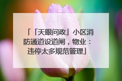 「天眼问政」小区消防通道设道闸，物业：违停太多规范管理