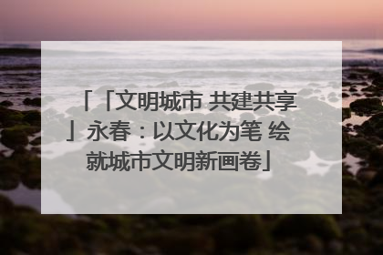 「文明城市 共建共享」永春：以文化为笔 绘就城市文明新画卷