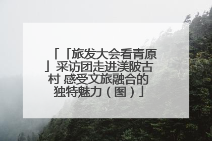 「旅发大会看青原」采访团走进渼陂古村 感受文旅融合的独特魅力（图）