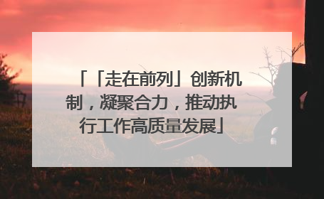 「走在前列」创新机制，凝聚合力，推动执行工作高质量发展