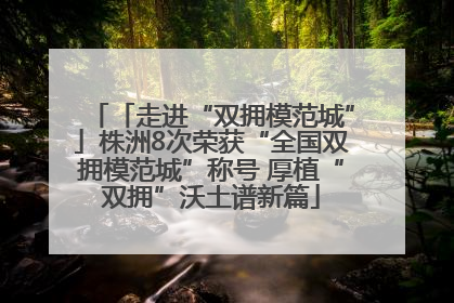 「走进“双拥模范城”」株洲8次荣获“全国双拥模范城”称号 厚植“双拥”沃土谱新篇