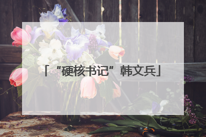 “硬核书记”韩文兵