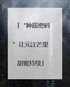 “种质密码”让元江芒果甜蜜持续