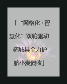 “网格化+智慧化”双轮驱动 柘城县全力护航小麦夏收
