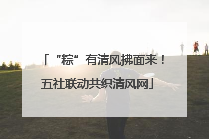 “粽”有清风拂面来！五社联动共织清风网