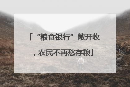 “粮食银行”敞开收，农民不再愁存粮