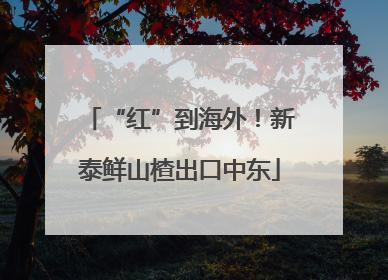 “红”到海外！新泰鲜山楂出口中东
