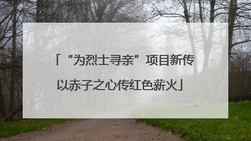 “为烈士寻亲”项目新传 以赤子之心传红色薪火