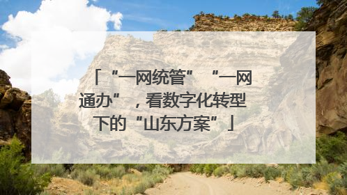 “一网统管”“一网通办”，看数字化转型下的“山东方案”