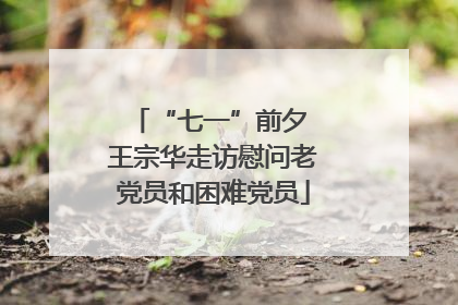 “七一”前夕 王宗华走访慰问老党员和困难党员