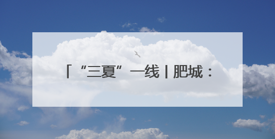 “三夏”一线丨肥城：探索“菌果蔬”轮作模式 助力农民增收致富