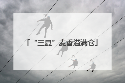 “三夏”麦香溢满仓