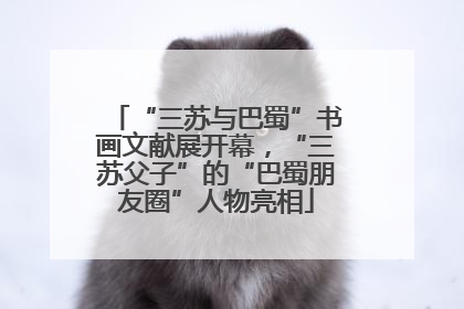 “三苏与巴蜀”书画文献展开幕，“三苏父子”的“巴蜀朋友圈”人物亮相
