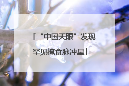 “中国天眼”发现罕见掩食脉冲星