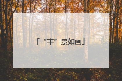 “丰”景如画