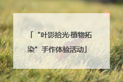 “叶影拾光·植物拓染”手作体验活动