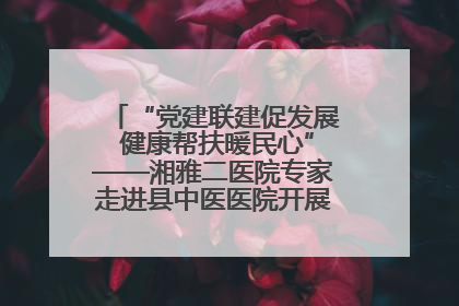 “党建联建促发展 健康帮扶暖民心”——湘雅二医院专家走进县中医医院开展健康帮扶活动