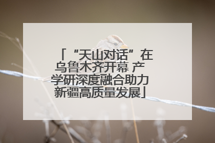 “天山对话”在乌鲁木齐开幕 产学研深度融合助力新疆高质量发展