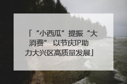 “小西瓜”提振“大消费” 以节庆IP助力大兴区高质量发展