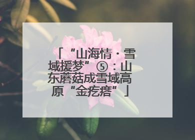 “山海情・雪域援梦”⑤：山东蘑菇成雪域高原“金疙瘩”