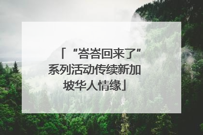 “峇峇回来了”系列活动传续新加坡华人情缘