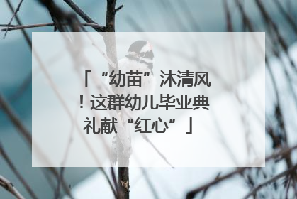 “幼苗”沐清风！这群幼儿毕业典礼献“红心”