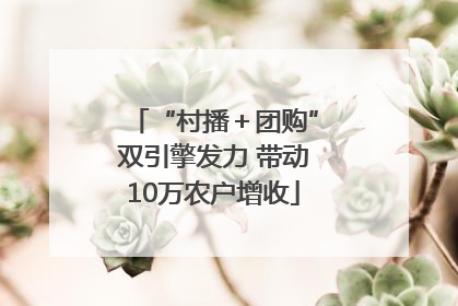 “村播＋团购”双引擎发力 带动10万农户增收