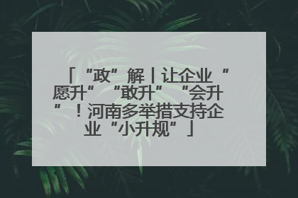 “政”解丨让企业“愿升”“敢升”“会升”！河南多举措支持企业“小升规”