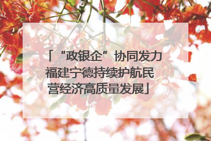 “政银企”协同发力 福建宁德持续护航民营经济高质量发展