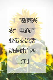 “数商兴农”电商产业带交流活动走进广西三江