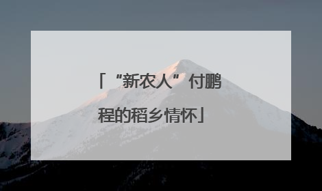 “新农人”付鹏程的稻乡情怀