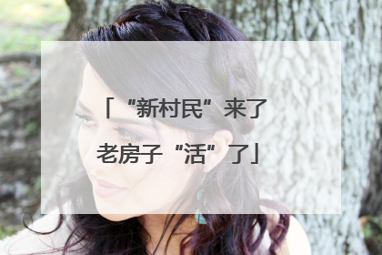 “新村民”来了 老房子“活”了