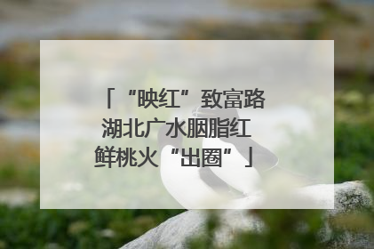 “映红”致富路 湖北广水胭脂红鲜桃火“出圈”