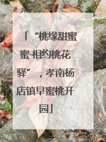 “桃缘甜蜜蜜·相约桃花驿”，孝南杨店镇早蜜桃开园