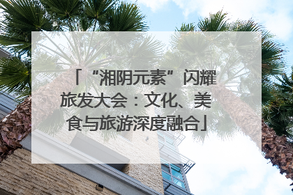 “湘阴元素”闪耀旅发大会：文化、美食与旅游深度融合