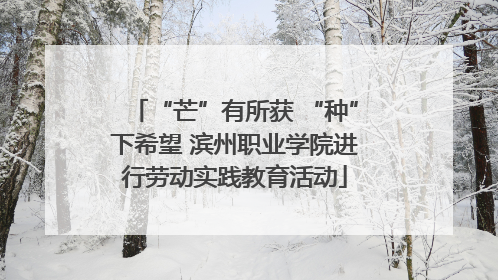 “芒”有所获 “种”下希望 滨州职业学院进行劳动实践教育活动