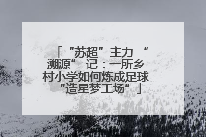 “苏超”主力 “溯源” 记：一所乡村小学如何炼成足球 “造星梦工场”
