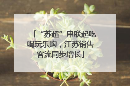 “苏超”串联起吃喝玩乐购，江苏销售客流同步增长