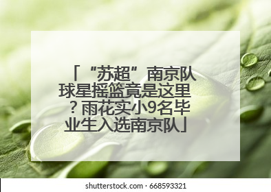 “苏超”南京队球星摇篮竟是这里？雨花实小9名毕业生入选南京队
