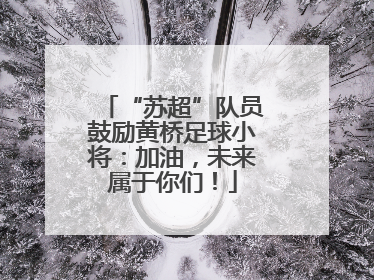 “苏超”队员鼓励黄桥足球小将：加油，未来属于你们！