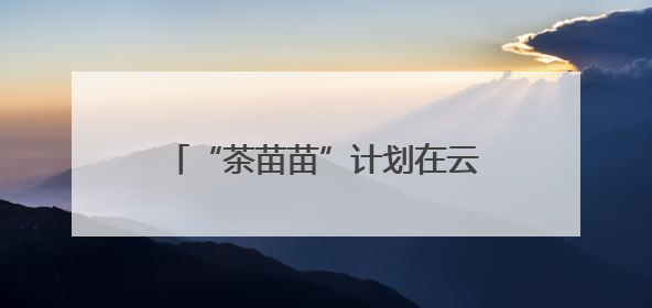 “茶苗苗”计划在云南保山启动 为留守困境儿童三餐“加肉”