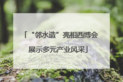 “邻水造”亮相西博会 展示多元产业风采