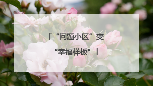 “问题小区”变“幸福样板”