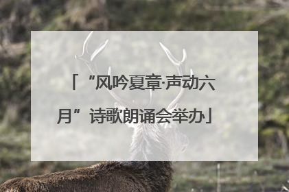 “风吟夏章·声动六月”诗歌朗诵会举办