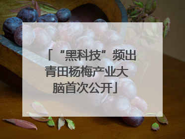 “黑科技”频出 青田杨梅产业大脑首次公开