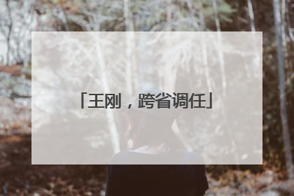 王刚，跨省调任
