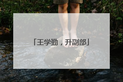 王学勤，升副部